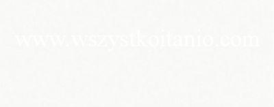 P�ytka �cienna White Glossy 20 x 50, Opoczno, p�ytki, kafelki, glazura, seria Penne, bia�a po�ysk, PS400