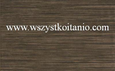 P�ytka �cienna Nelia brown 25 x 40, Kwadro, p�ytki, kafelki, glazura, Parady� (RBLb) (Rb) (R-Mb)