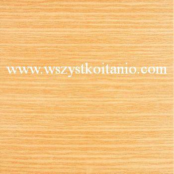 P�ytka pod�ogowe Fiesta czerwona 33,3 x 33,3; Domino, p�ytki, kafelki, terakota, Tub�dzin