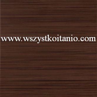 P�ytka pod�ogowa Rodillo br�z 33,3 x 33,3; Domino, p�ytki, terakota, kafelki, Tub�dzin