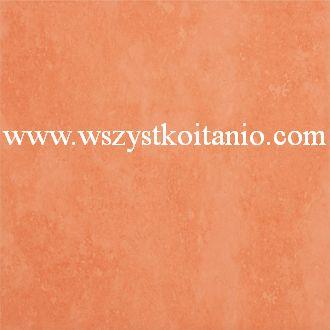 P�ytka pod�ogowa Floris koralowy 33,3 x 33,3; Domino, p�ytki, kafelki, terakota, Tub�dzin