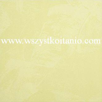 P�ytka pod�ogowe Linea zielona 33,3 x 33,3; Domino, p�ytki, kafelki, terakota, Tub�dzin