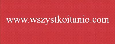P�ytki �cienne Fusion czerwie� 20 x 50, Opoczno, glazura, kafelki, p�ytka, red
