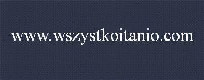 P�ytki �cienne Fusion grafit 20 x 50, Opoczno, glazura, kafelki, p�ytka, graphite (RBLb)