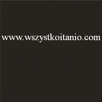 P�ytka pod�ogowa Black satin 33,3 x 33, Opoczno, p�ytki, glazura, kafelki, OP399-008-1, seria Black & White