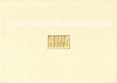 Dekor Matta ��ta Stone Centro 25 x 35, Opoczno, p�ytki, kafelki, p�ytka, dekory