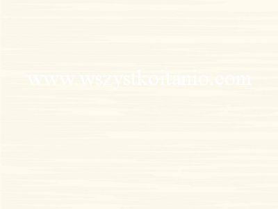 P�ytka �cienna Mi�ek bianco 25 x 33,3; Kwadro, p�ytki, kafelki, glazura, Parady�