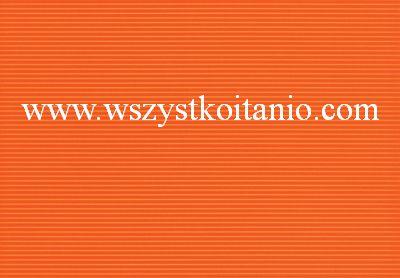 P�ytka �cienna Margot pomara�czowy 25 x 36, Domino, p�ytki, glazura, kafelki, Tub�dzin