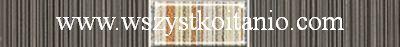 Listwa Organic grafit Techno 3 x 25, Opoczno, p�ytka, p�ytki, kafelki, glazura, flizy