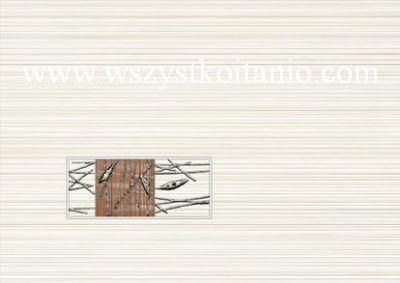 Dekor Organic br�z Classic Centro 25 x 35, Opoczno, p�ytki, kafelki, glazura, p�ytka