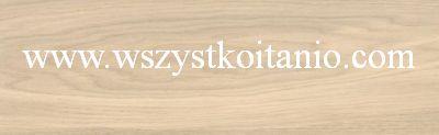 Gres Chesterwood cream 18,5 x 59,8; Cersanit, p�ytki, kafelki, terakota, seria I Love Wood, W481-002-1