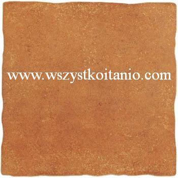 Gres Tanger br�z 33,3 x 33,3; Opoczno, p�ytki, kafelki, terakota, seria Jesie�
