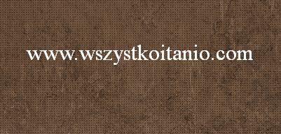 P�ytka �cienna Ariva brown 29 x 59,3; Cersanit, p�ytka, p�ytki, kafelki, glazura, flizy