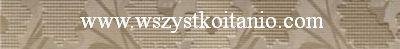 Listwa Lavande brown Flower 5 x 40, Cersanit, p�ytki, glazura, kafelki, WD296-011