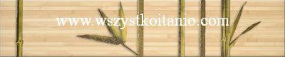 Listwa �cienna Africa krem A 9,9 x 50, Opoczno, p�ytka, p�ytki, kafelki, glazura, flizy