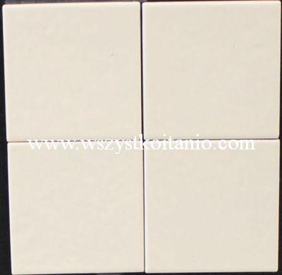 P�ytka �cienna Image ecru 10 x 10, Cerkolor, p�ytki, kafelki, glazura