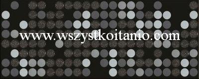 Dekor Sigma black Inserto 20 x 50, Ceramika Ko�skie, p�ytki, kafelki, glazura, flizy, seria Michelle