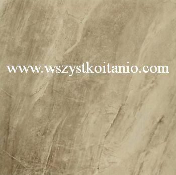 Gres Excellent szary Natura 60 x 60, Ceramika Gres, p�ytka, p�ytki, fliza, ceramika, ECL12