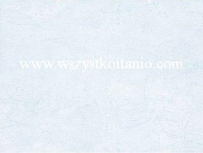P�ytka �cienna Camilia jasnoniebieska 25 x 36, Domino, p�ytki, glazura, kafelki, jasno niebieska, Tub�dzin (Sb)