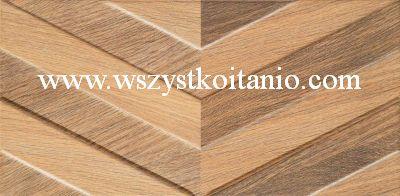 P�ytka �cienna Brika Wood Struktura 22,3 x 44,8; Domino, p�ytki, glazura, kafelki, Tub�dzin (Ab)