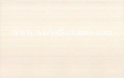 P�ytka �cienna Rosaria bianco 25 x 40, Cersanit, p�ytki, glazura, kafelki, Opoczno