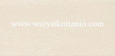 P�ytka �cienna Aruba be� 22,3 x 44,8; Arte Ceramika, p�ytka, kafelki, Tub�dzin