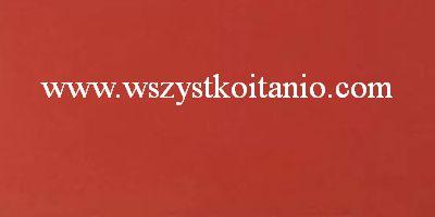 P�ytka �cienna Loft rosso 30 x 60, Marconi Ceramica, p�ytki, kafelki, Polcolorit