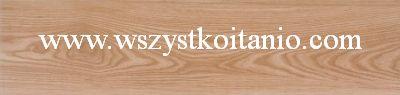 P�ytka Livingwood chestnut 14,4 x 59,3; Opoczno, p�ytki, kafelki, flizy