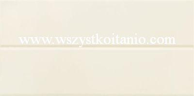 P�ytka �cienna Tango white Struktura 22,3 x 44,8; Domino, glazura, kafelki, p�ytki, flizy, po�ysk, Tub�dzin