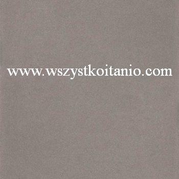 Gres Concept CN13 Poler 60 x 60, Nowa Gala, p�ytki, kafelki, gres; 59,7 x 59,7