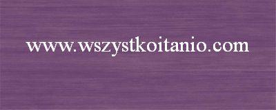 P�ytka �cienna Imperia fiolet 20 x 50, Cerrol, p�ytka, p�ytki, kafelki, Cer - rol, 50 x 20