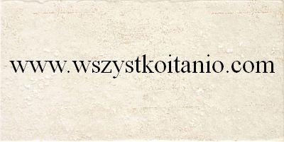 P�ytka �cienna Bihara krem 22,3 x 44,8; Ceramika Arte, p�ytki, kafelki, glazura, Domino, Tub�dzin