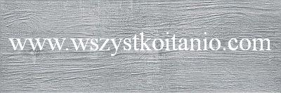 P�ytki Alberon szary 20 x 60, Ceramika Gres, kafelki, p�ytka, ALR 12, Ashwood
