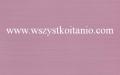 P�ytki �cienne Lorena violet 30 x 45, Opoczno, glazura, kafelki, p�ytka, fiolet