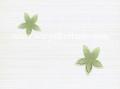 Dekor �cienny Stokrotka verde 25 x 33,3; Kwadro, p�ytki, glazura, kafelki, p�ytka, Parady�