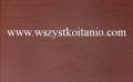 P�ytka �cienna Scarlet bordo 25 x 36, Domino, p�ytki, glazura, kafelki, Tub�dzin