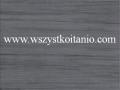P�ytka �cienna Firletka nero 25 x 33,3; Kwadro, p�ytki, kafelki, glazura, Parady�