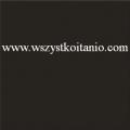 P�ytka pod�ogowa Black satin 33,3 x 33, Opoczno, p�ytki, glazura, kafelki, OP399-008-1, seria Black & White
