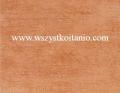 P�ytka �cienna Hawana br�z 20 x 25, Domino, p�ytki, kafelki, glazura, Tub�dzin