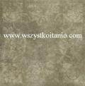 Dekor Fiesta oliwka 1; 33 x 33, Ceramika Gres, gres, p�ytka, p�ytki, terakota, flizy, FST09