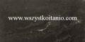 Gres MM14 (Marmi Moderni) Poler 30 x 60, Nowa Gala, p�ytki, kafelki