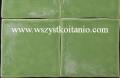 P�ytka �cienna Arlekinada zielona 10 x 10, Cerkolor, p�ytki, kafelki, glazura, 9,8 x 9,8