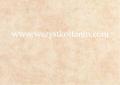 P�ytka �cienna Elena be� 25 x 35, Cersanit, p�ytki, kafelki, glazura, PSM 260