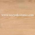 P�ytka pod�ogowa Forest Touch beige 45 x 45, Opoczno, p�ytki, kafelki, terakota