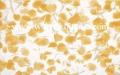 Dekor �cienny Diantus yellow Inserto Flower 25 x 40, Cersanit, p�ytki, glazura, kafelki