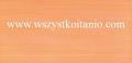 P�ytka �cienna Linero orange 29 x 59,3; Opoczno, p�ytki, kafelki, glazura, rektyfikowane