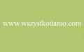 P�ytka �cienna Aroma verde 25 x 40, Cersanit, p�ytki, kafelki